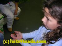 /home//u458753944/public_html/sourcegallery//Insects and small critters/roaches (Blattodea)/DSCN3701.JPG